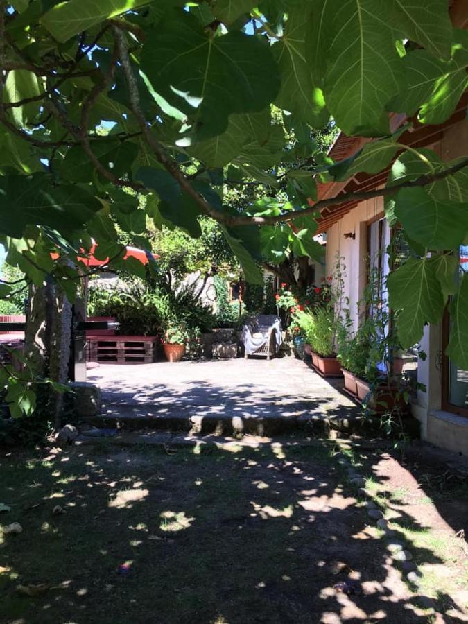Pilgrims Rest - Vila Nova De Cerveira - Hostel - Albergue - Al Екстер'єр фото
