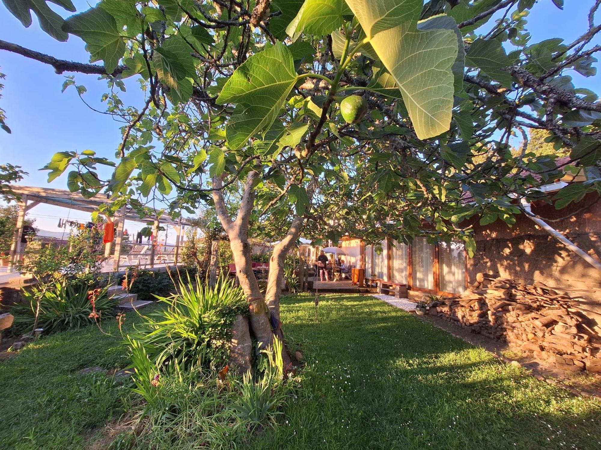 Pilgrims Rest - Vila Nova De Cerveira - Hostel - Albergue - Al Екстер'єр фото